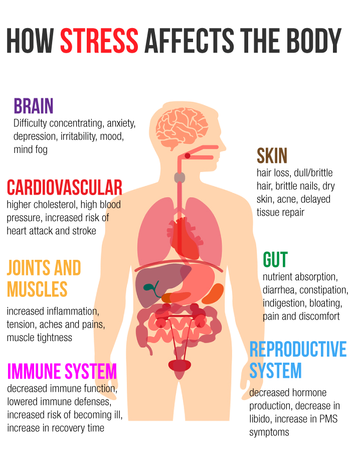 How Stress Impacts Your Body And What To Do About It Lane Chiropractic